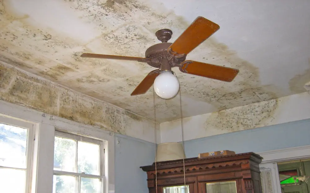 Homeowners insurance coverage and water damage explained