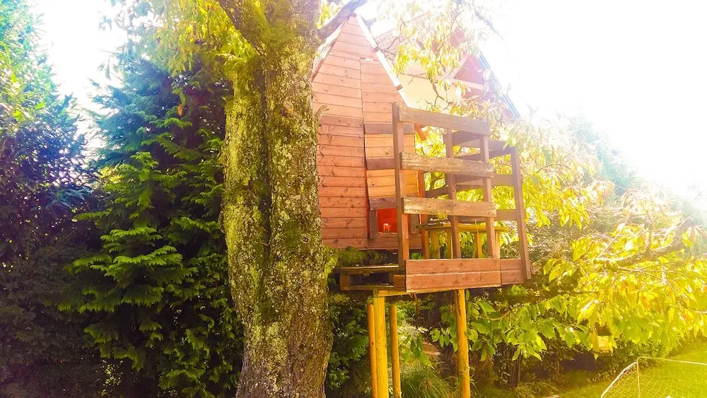 Treehouses And Homeowners Insurance